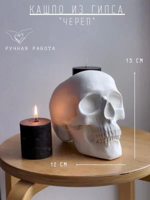 Кашпо Череп анатомический