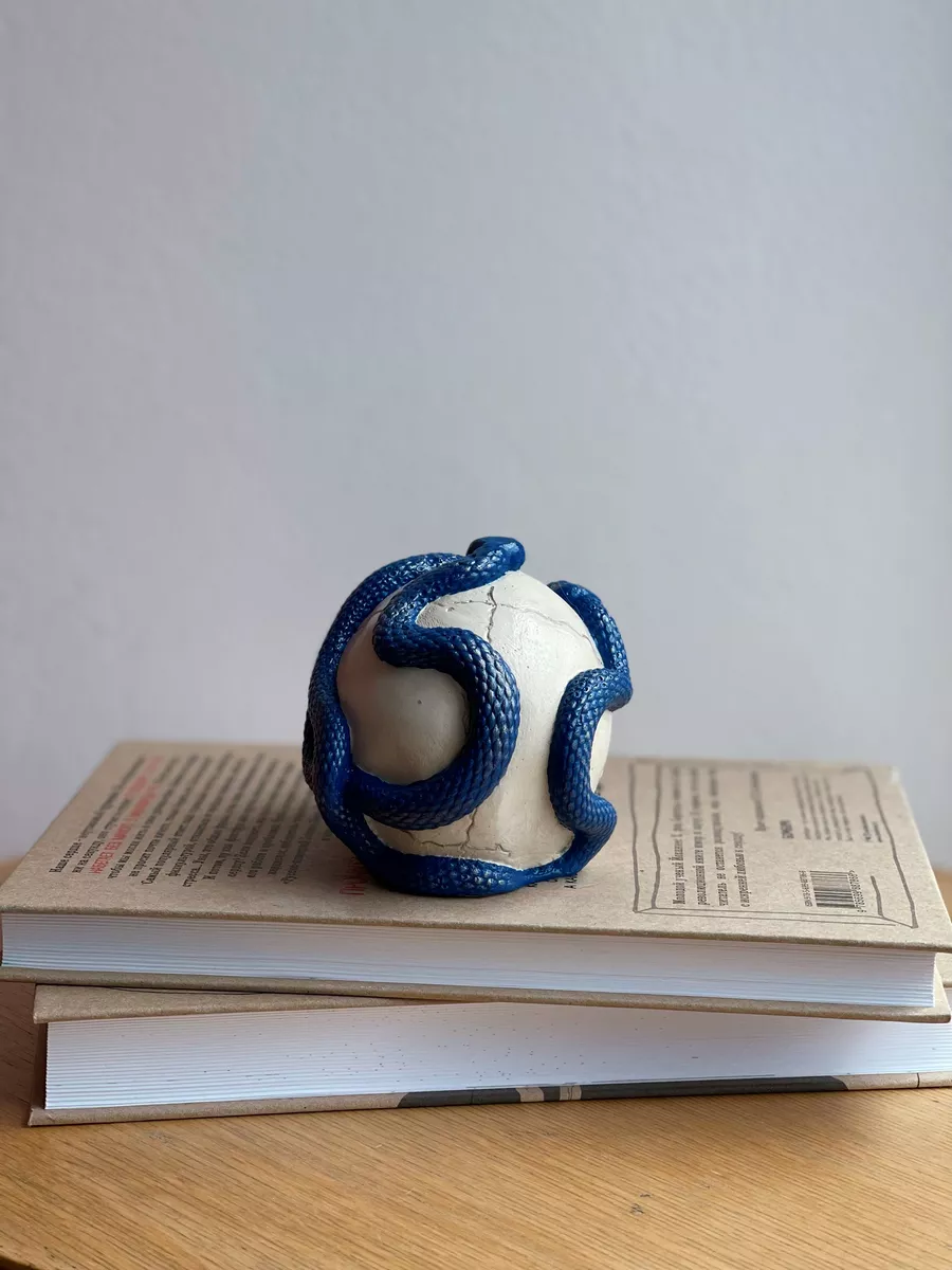 Череп со змеями — изображение 6