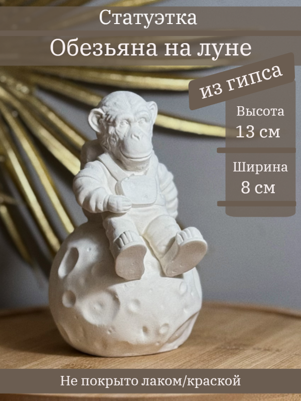 Обезьяна на луне