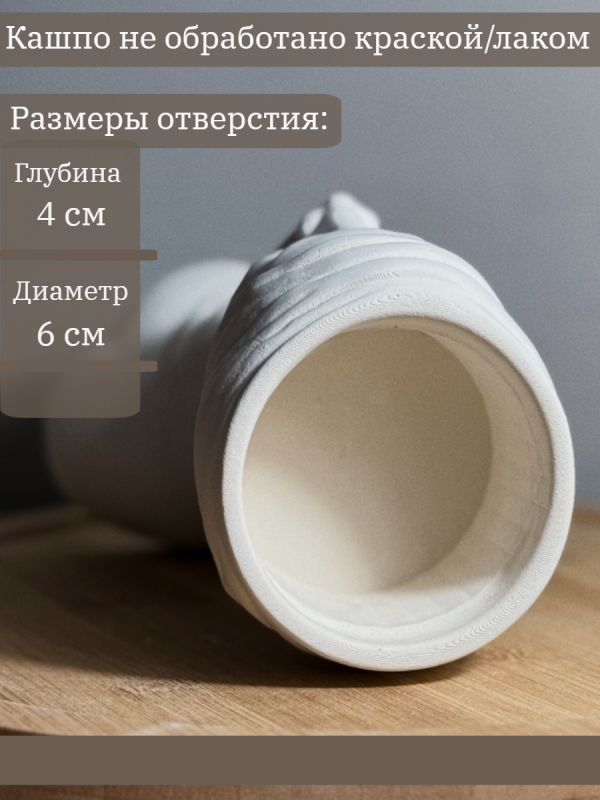 Кашпо Африканка — изображение 2