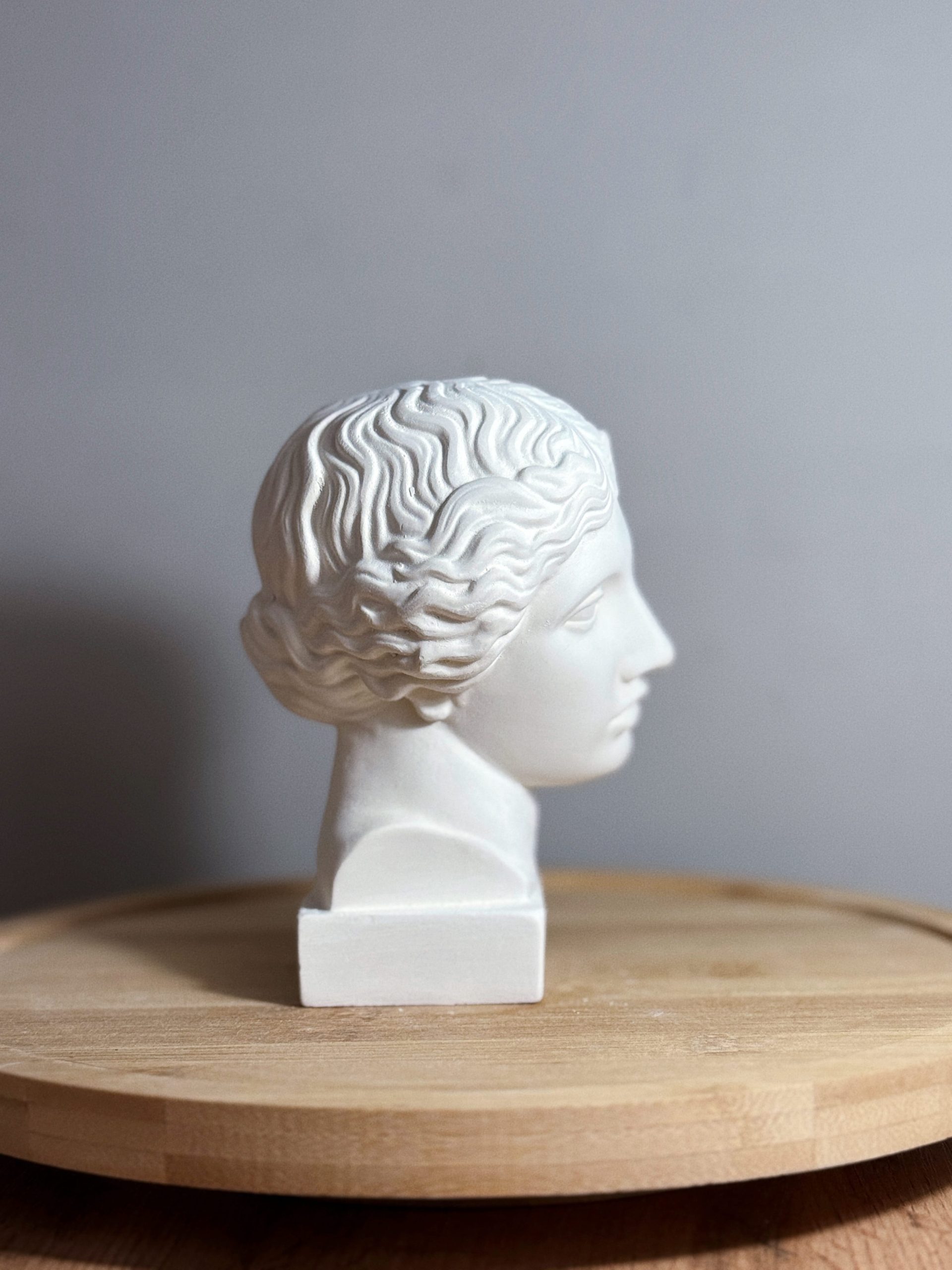 Амазонка — изображение 2