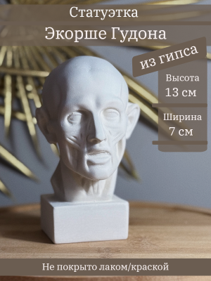 Экорше Гудона