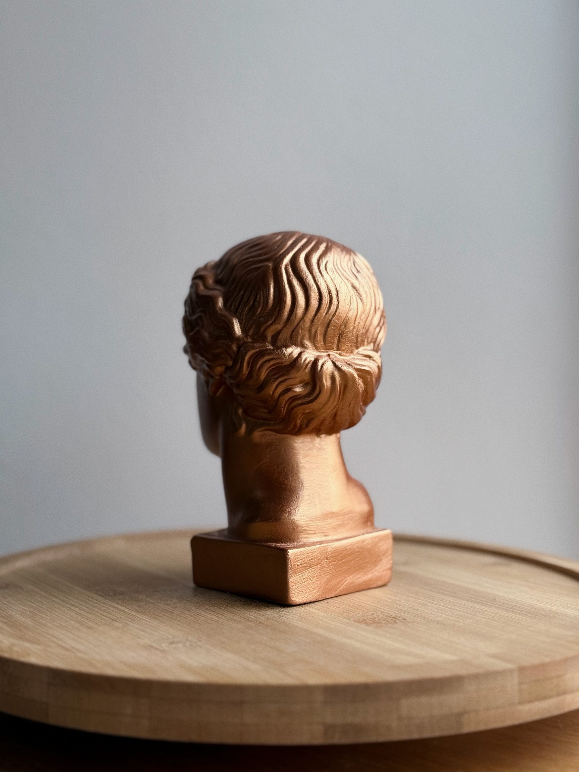 Амазонка — изображение 3