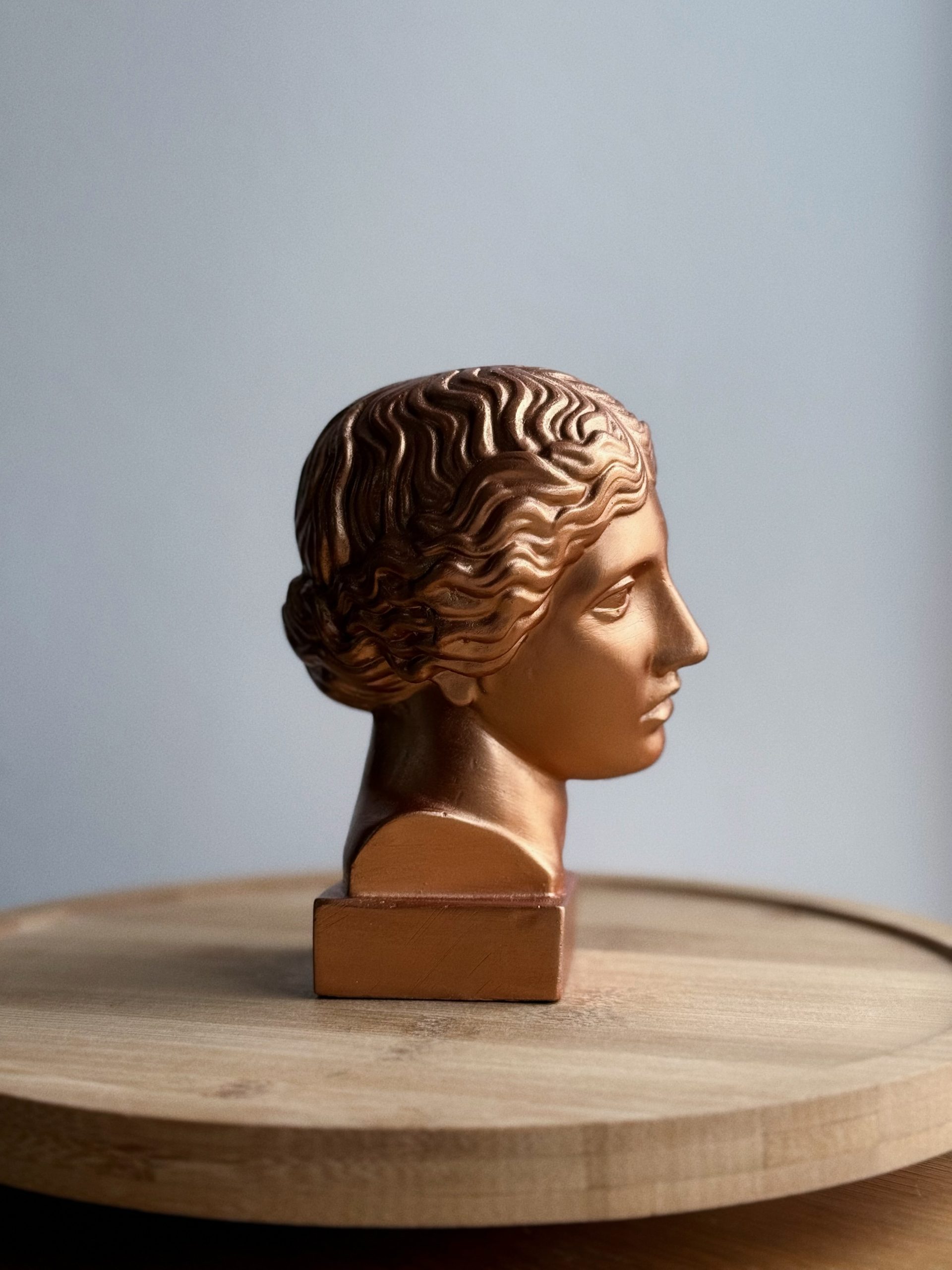 Амазонка — изображение 2