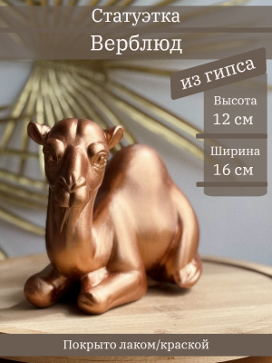 Верблюд